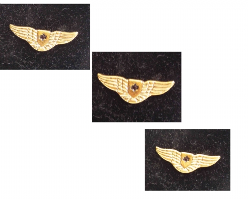 Silver &Gold IAF pilot wing