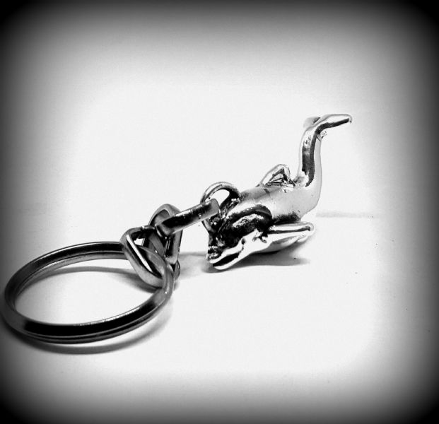 Dolfin Key Chain