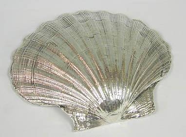 Sterling Silver Shell 